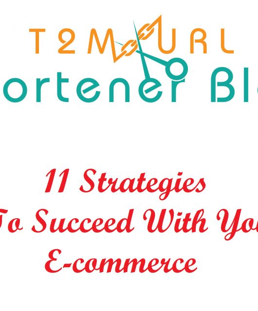 11 Strategies To Succeed With Your E-commerce